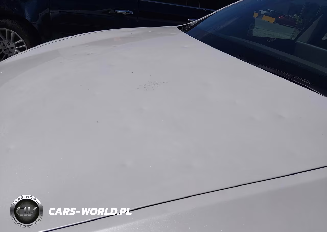 2026 Tesla Model Y All-Wheel Drive-Long Range Launch Series-Premium All-Wheel Drive VIN:7SAYGDEE9TF405812 - 14