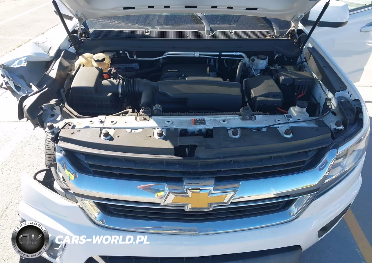 2019 Chevrolet Colorado Wt VIN:1GCGSBEA0K1162956 - 10