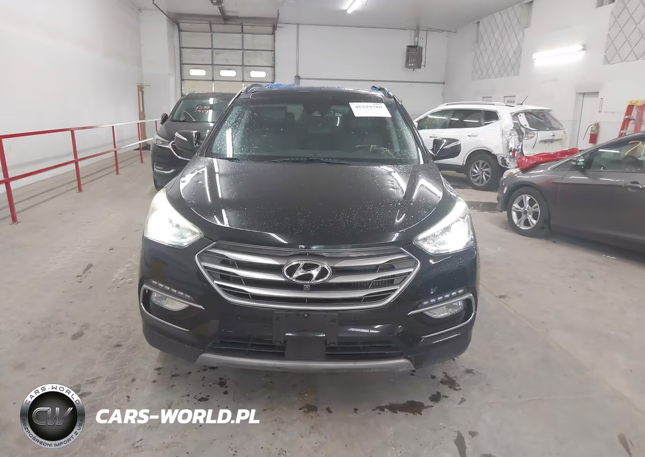 2017 Hyundai Santa Fe Sport 2.0T Ultimate VIN:5XYZWDLA4HG485380 - 12