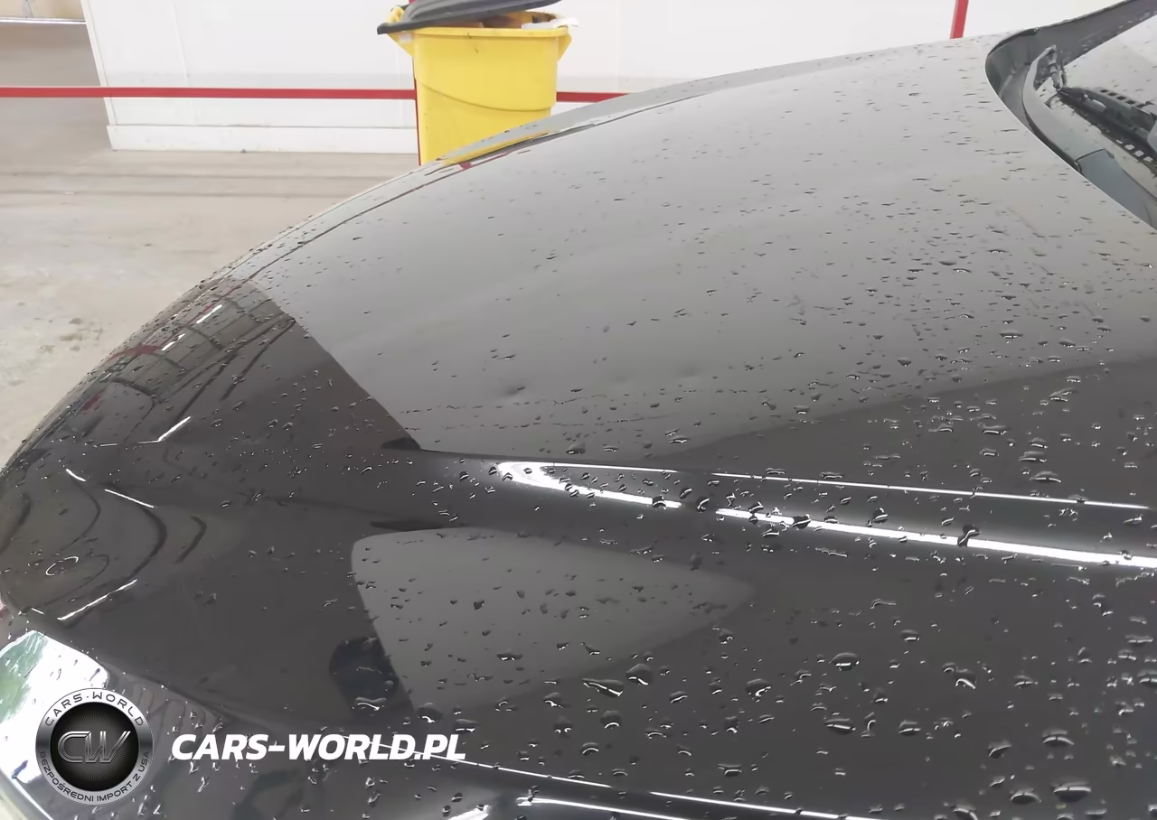 2017 Hyundai Santa Fe Sport 2.0T Ultimate VIN:5XYZWDLA4HG485380 - 6