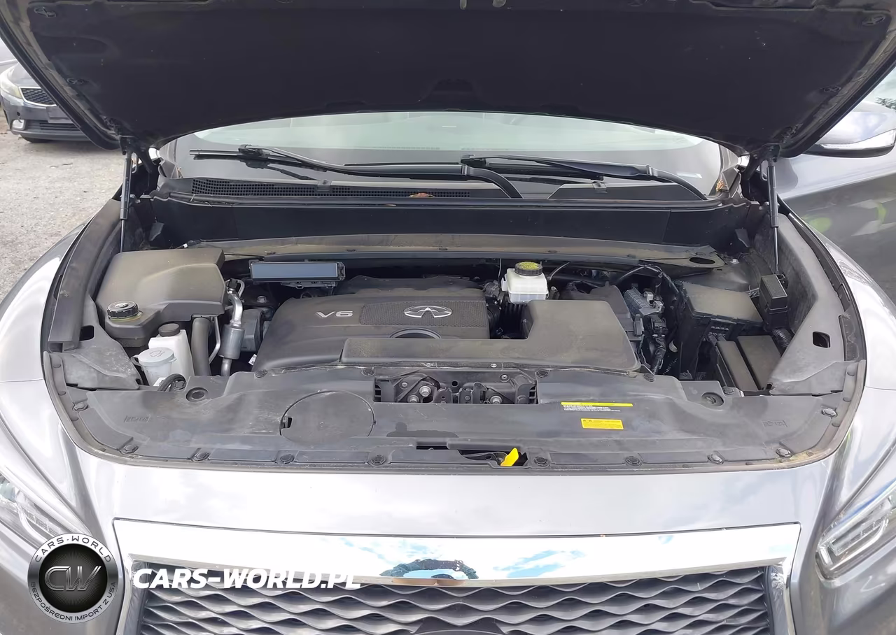 2019 Infiniti Qx60 Luxe VIN:5N1DL0MM5KC559451 - 10