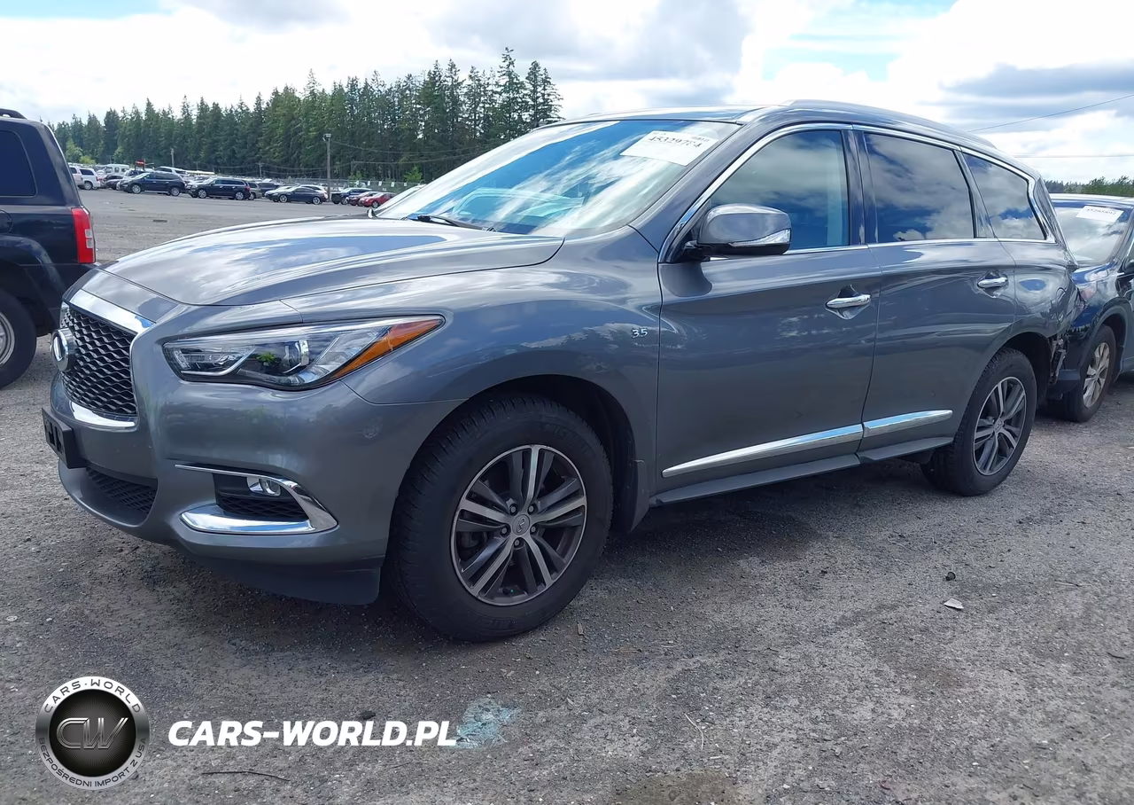2019 Infiniti Qx60 Luxe VIN:5N1DL0MM5KC559451 - 2