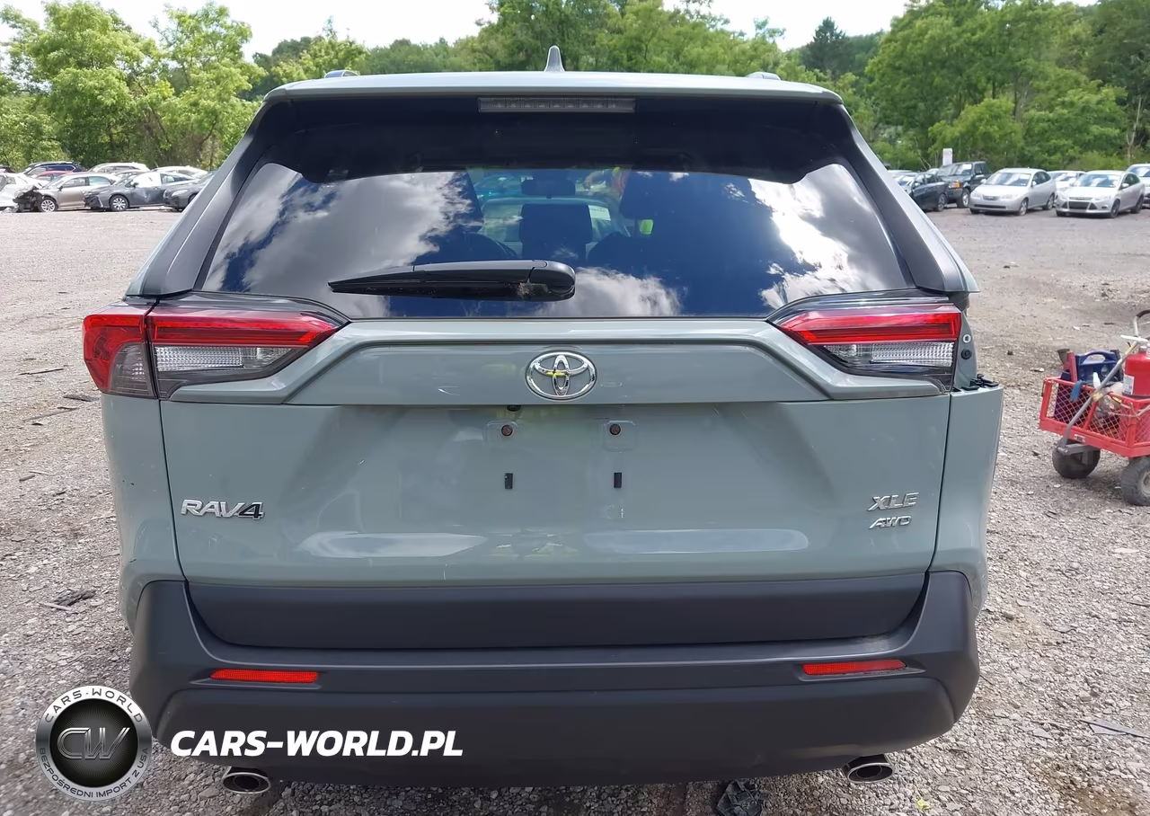 2019 Toyota Rav4 Xle VIN:JTMP1RFV7KD522980 - 17