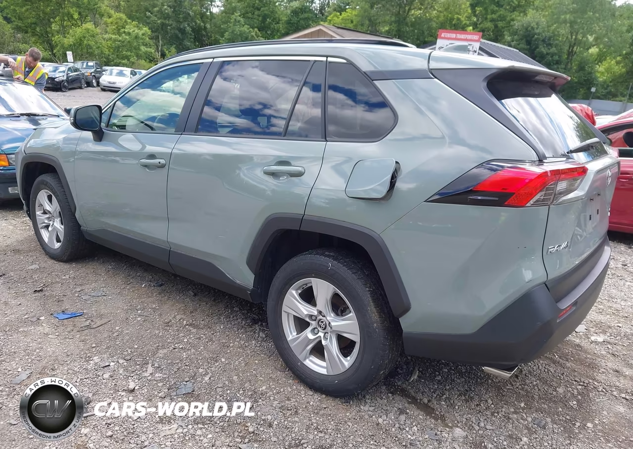 2019 Toyota Rav4 Xle VIN:JTMP1RFV7KD522980 - 3