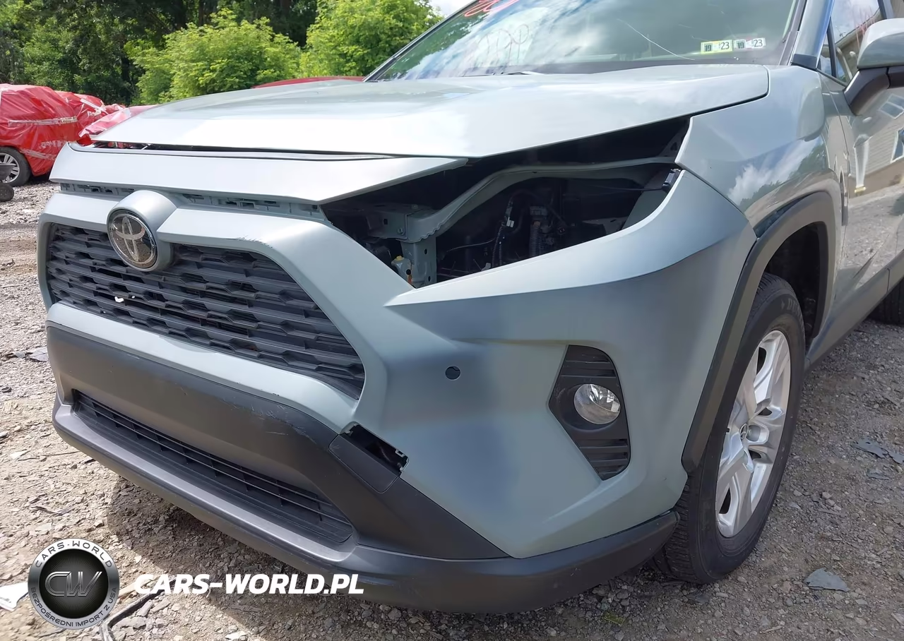 2019 Toyota Rav4 Xle VIN:JTMP1RFV7KD522980 - 6