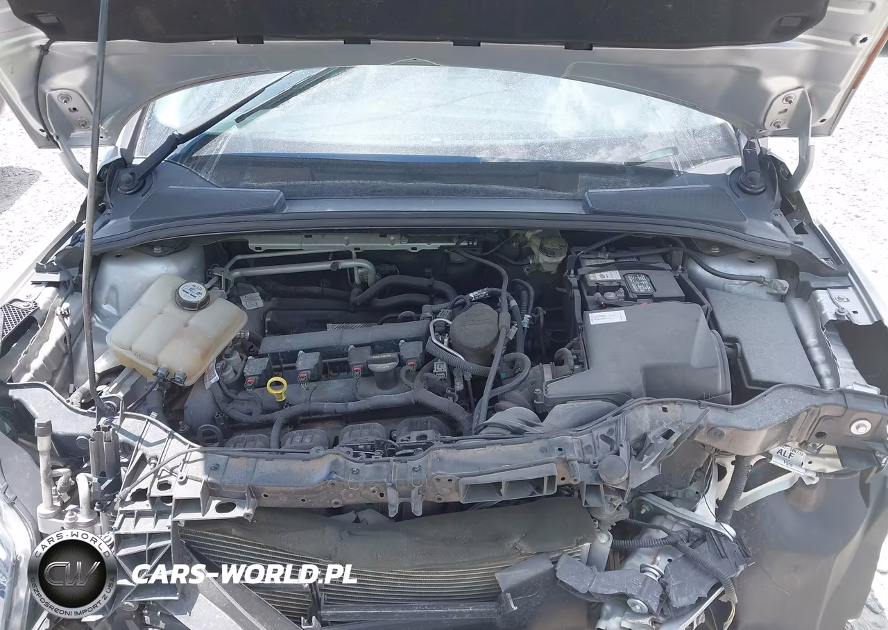 2013 Ford Focus Se VIN:1FADP3F26DL353747 - 10