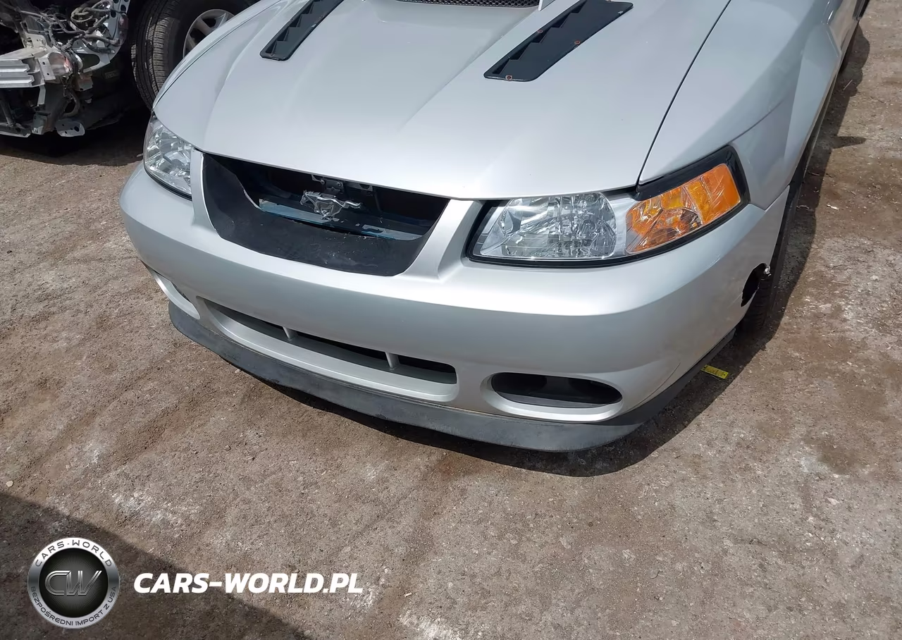 2002 Ford Mustang Gt Deluxe-Gt Premium VIN:1FAFP42X32F242603 - 6