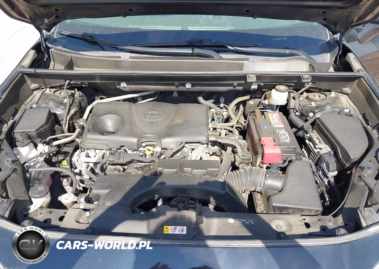 2019 Toyota Rav4 Xle Premium VIN:JTMA1RFV8KD041206 - 10