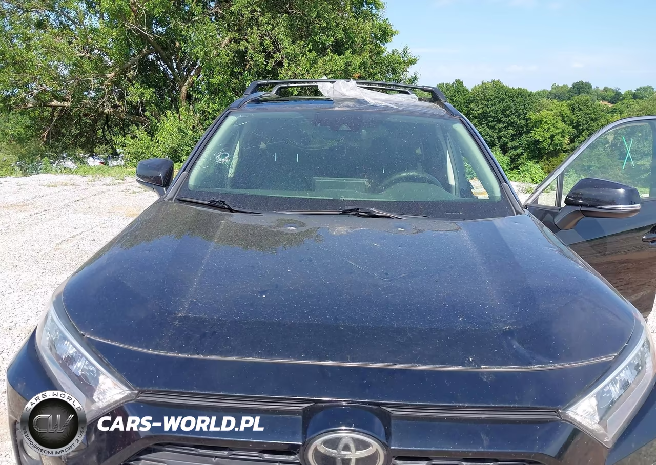 2019 Toyota Rav4 Xle Premium VIN:JTMA1RFV8KD041206 - 6