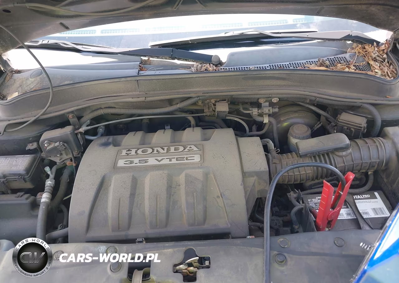 2008 Honda Pilot Se VIN:5FNYF18398B010500 - 10