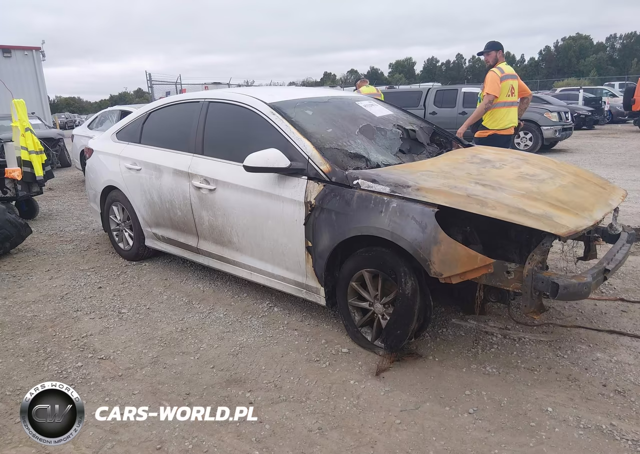 2019 Hyundai Sonata Se VIN:5NPE24AF1KH812066 - 1