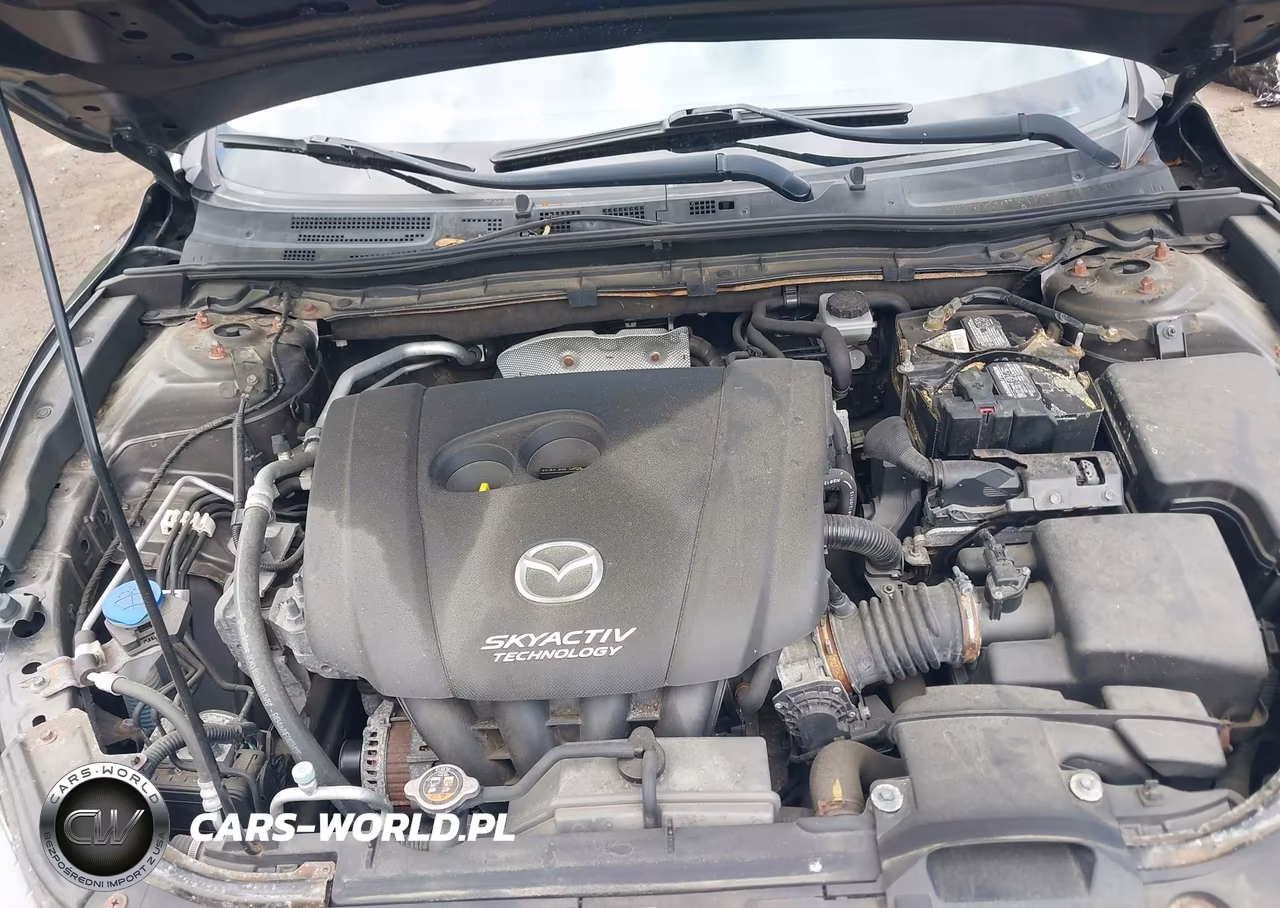 2014 Mazda Mazda3 I Sport VIN:JM1BM1U78E1144861 - 10