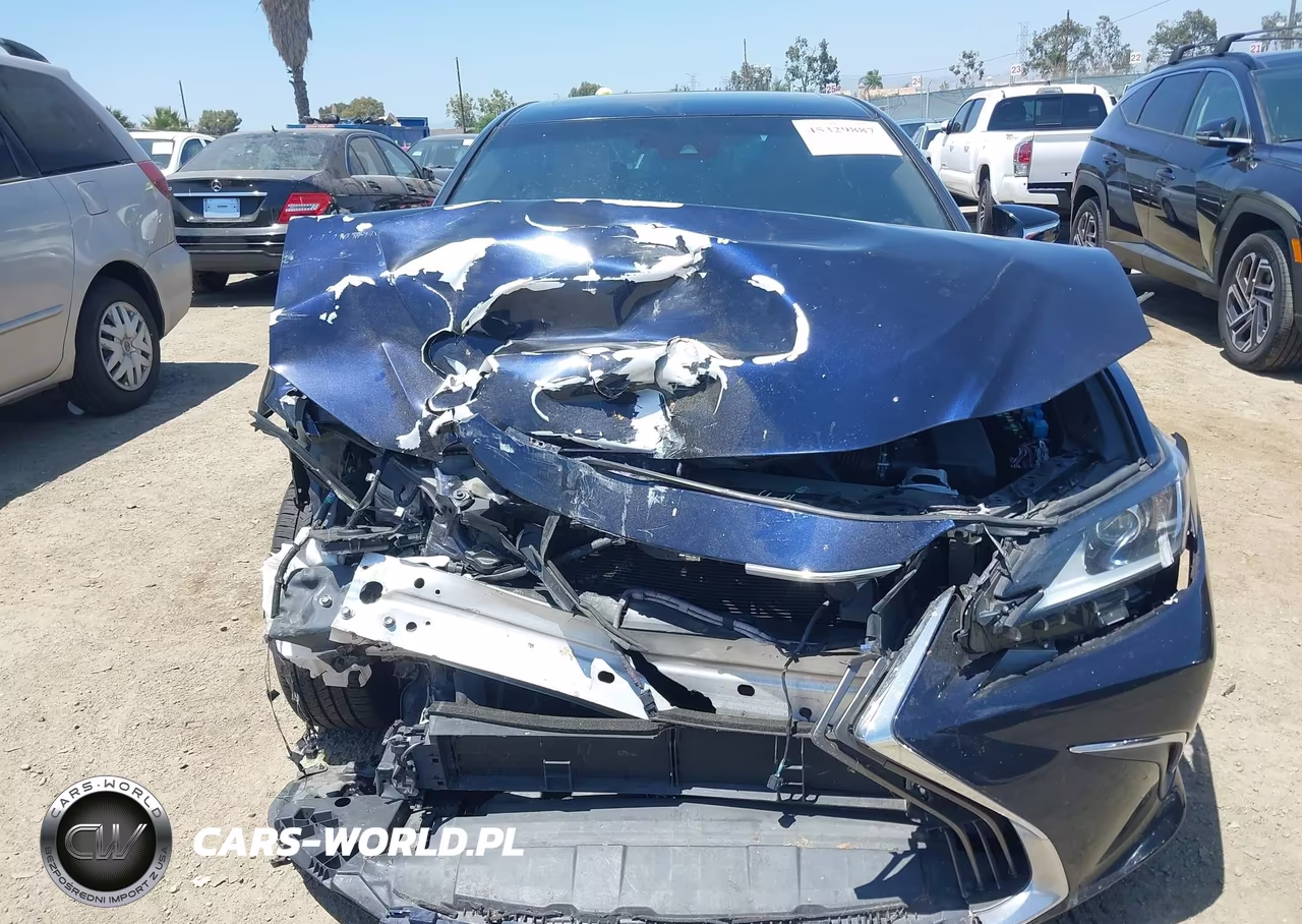 2021 Lexus Es 300H VIN:58ACA1C12MU001349 - 11