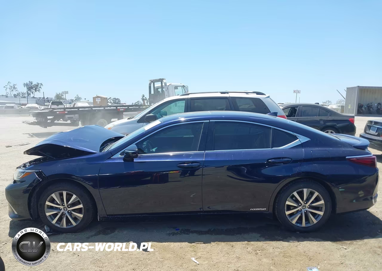 2021 Lexus Es 300H VIN:58ACA1C12MU001349 - 13