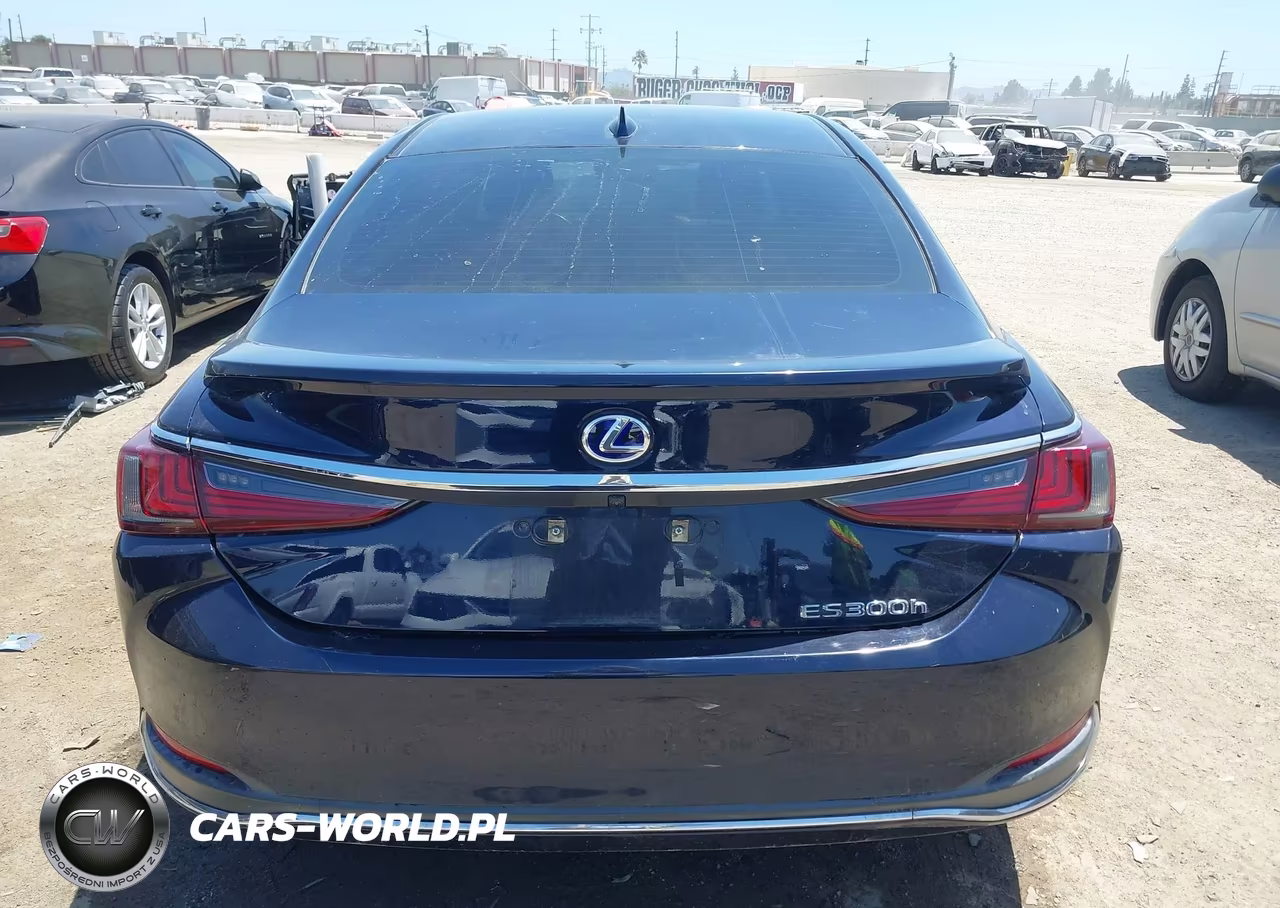 2021 Lexus Es 300H VIN:58ACA1C12MU001349 - 15