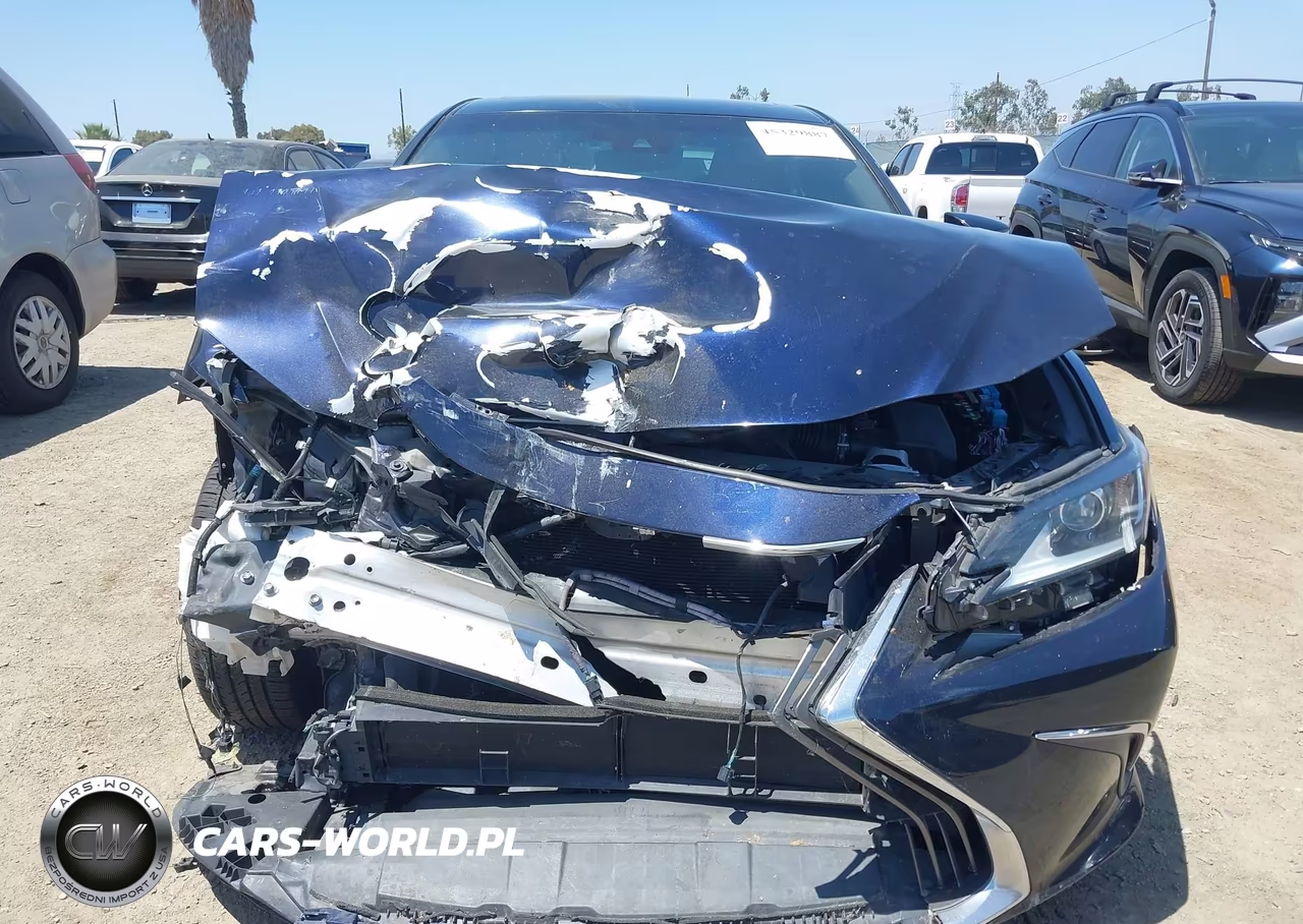 2021 Lexus Es 300H VIN:58ACA1C12MU001349 - 6
