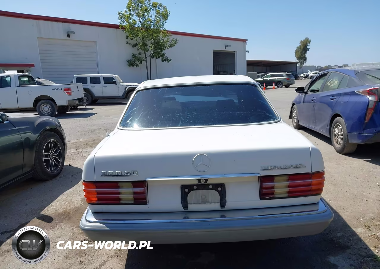 1982 Mercedes-Benz 300 Sd VIN:WDBCB20A7CB024699 - 17