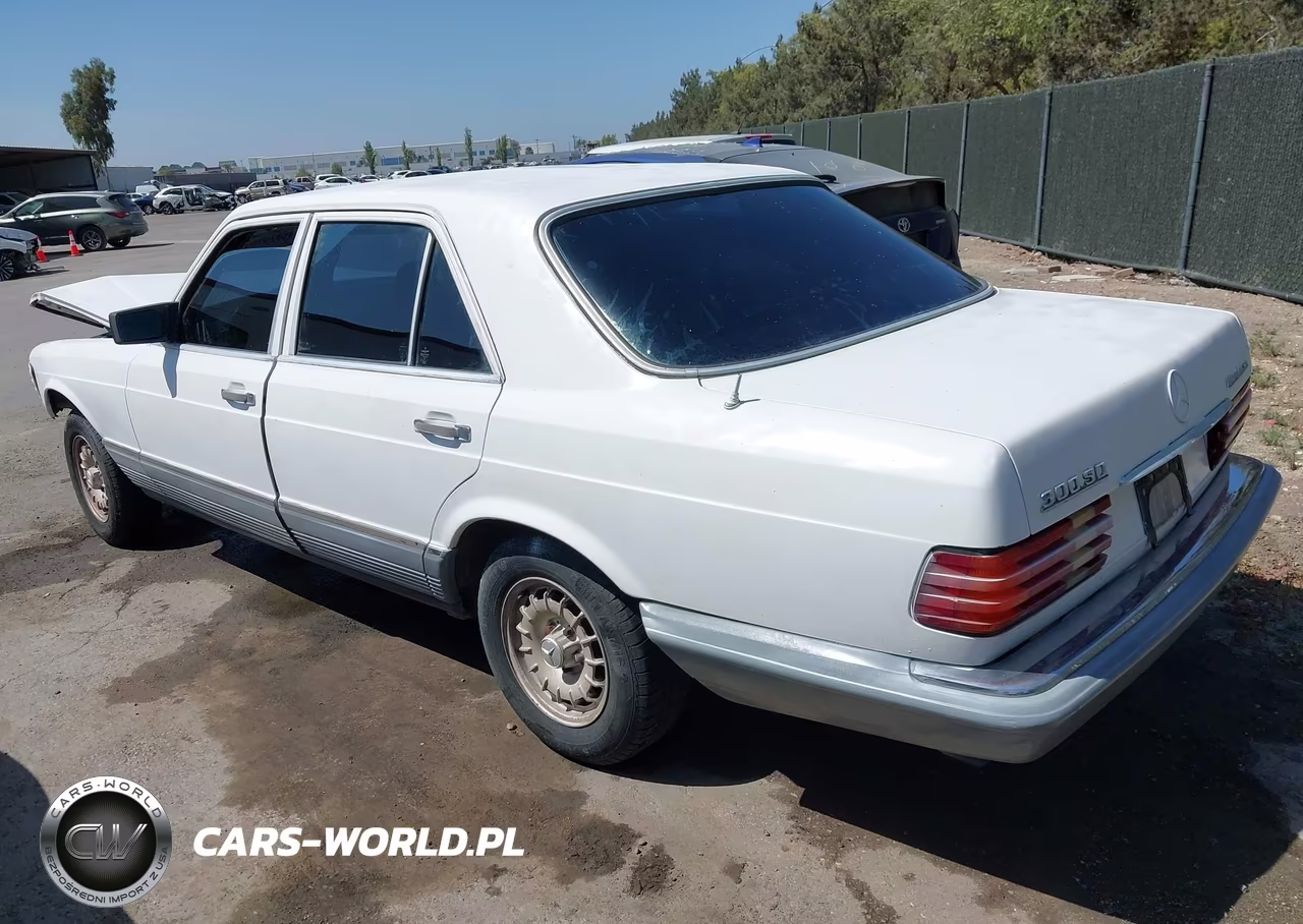 1982 Mercedes-Benz 300 Sd VIN:WDBCB20A7CB024699 - 3