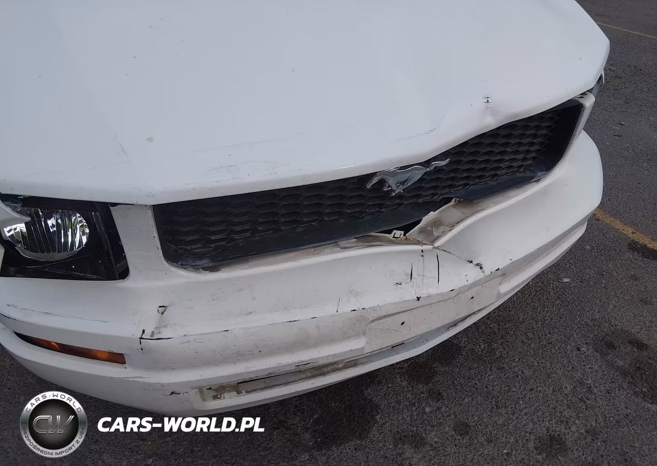 2007 Ford Mustang V6 Deluxe-V6 Premium VIN:1ZVFT80N275353796 - 12