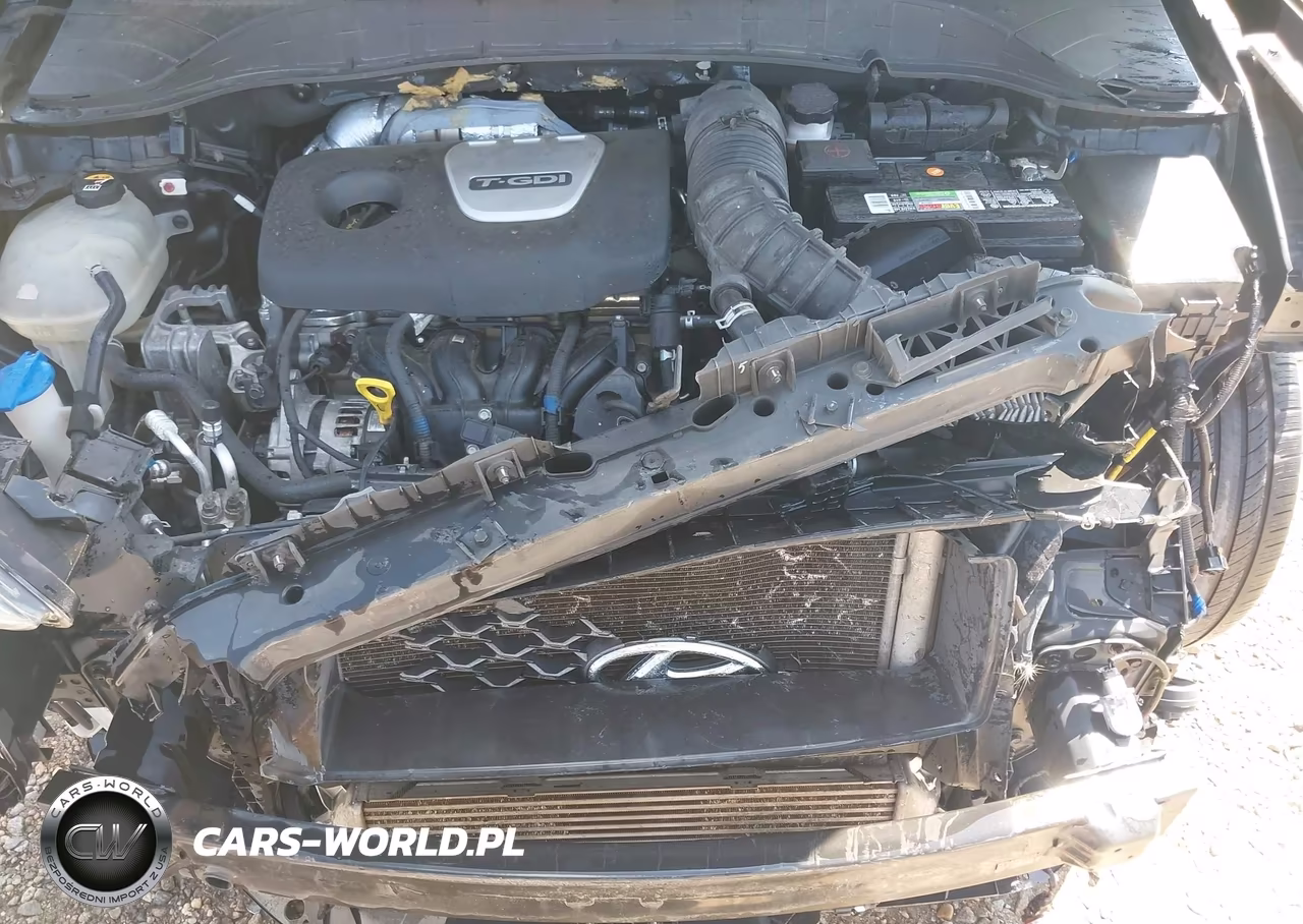 2019 Hyundai Kona Ultimate VIN:KM8K5CA59KU389668 - 10