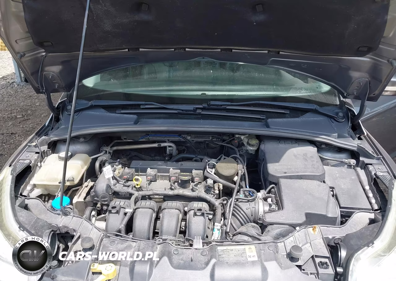 2013 Ford Focus Se VIN:1FADP3K2XDL327402 - 10