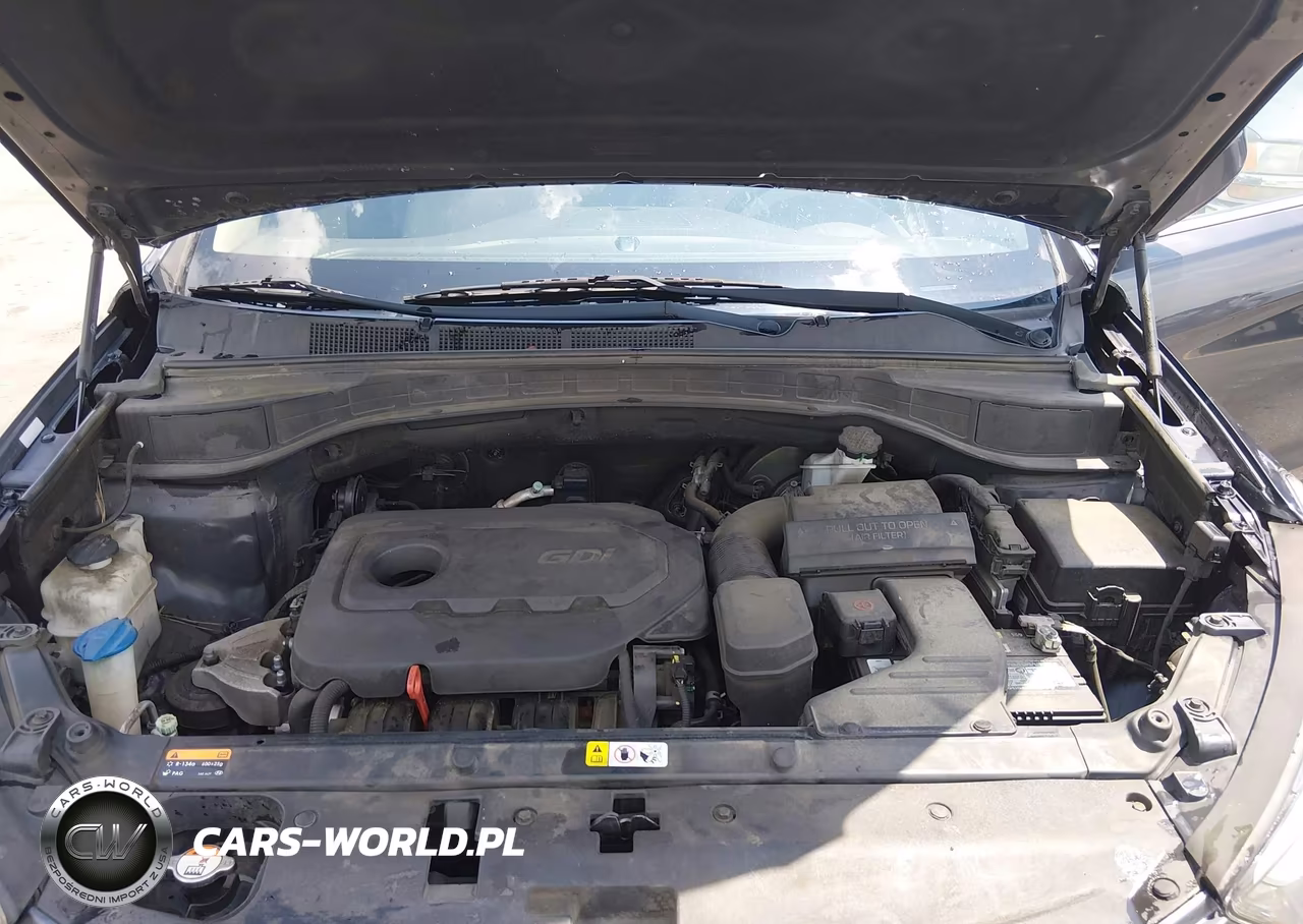 2017 Hyundai Santa Fe Sport 2.4L VIN:5XYZTDLB8HG456952 - 10