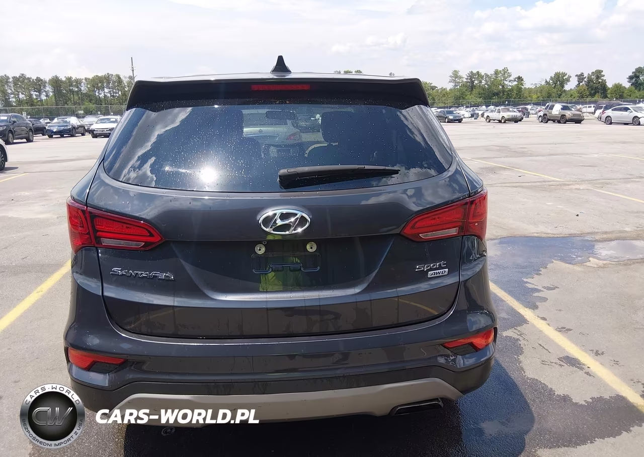2017 Hyundai Santa Fe Sport 2.4L VIN:5XYZTDLB8HG456952 - 16