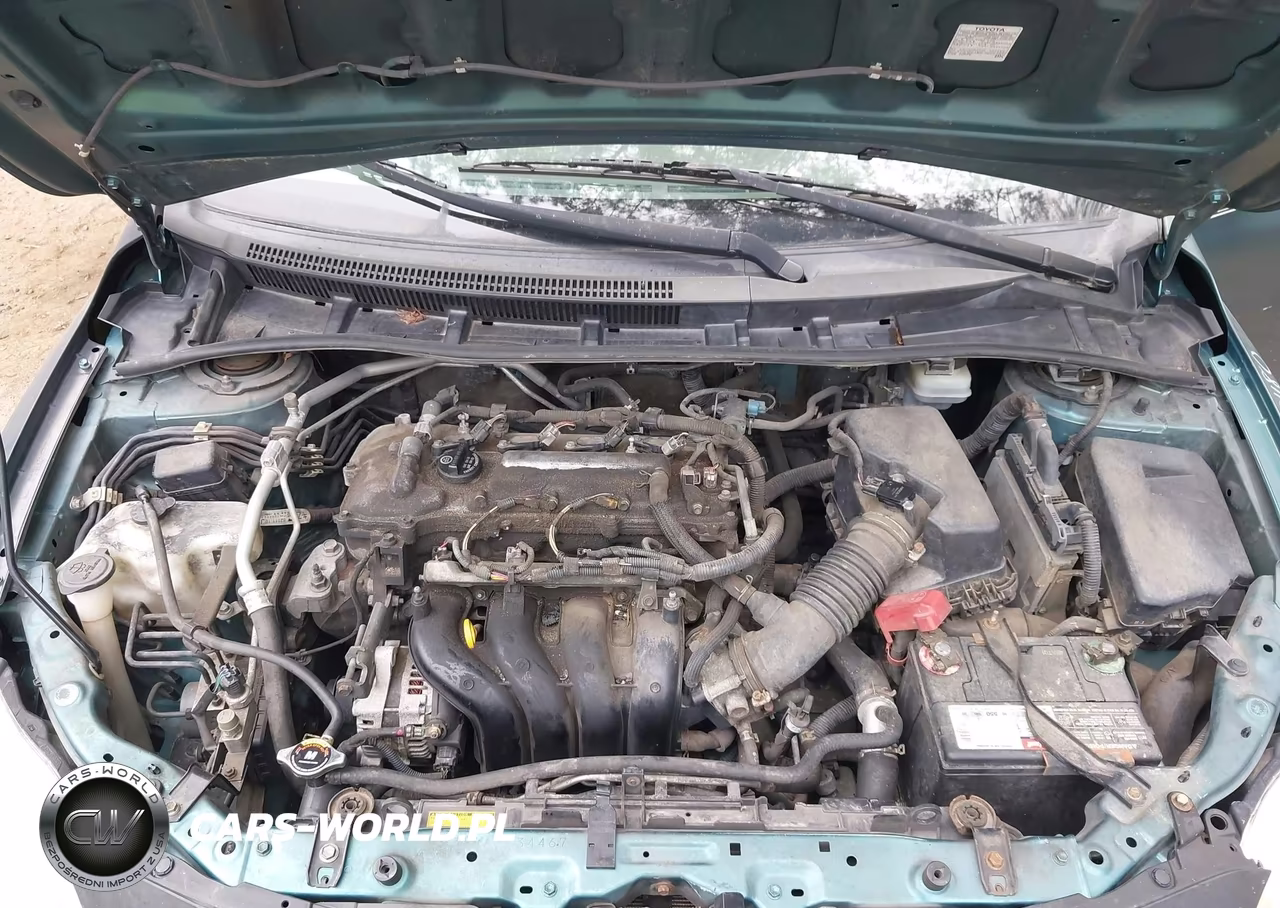 2010 Toyota Corolla Le VIN:JTDBU4EE8A9118738 - 10