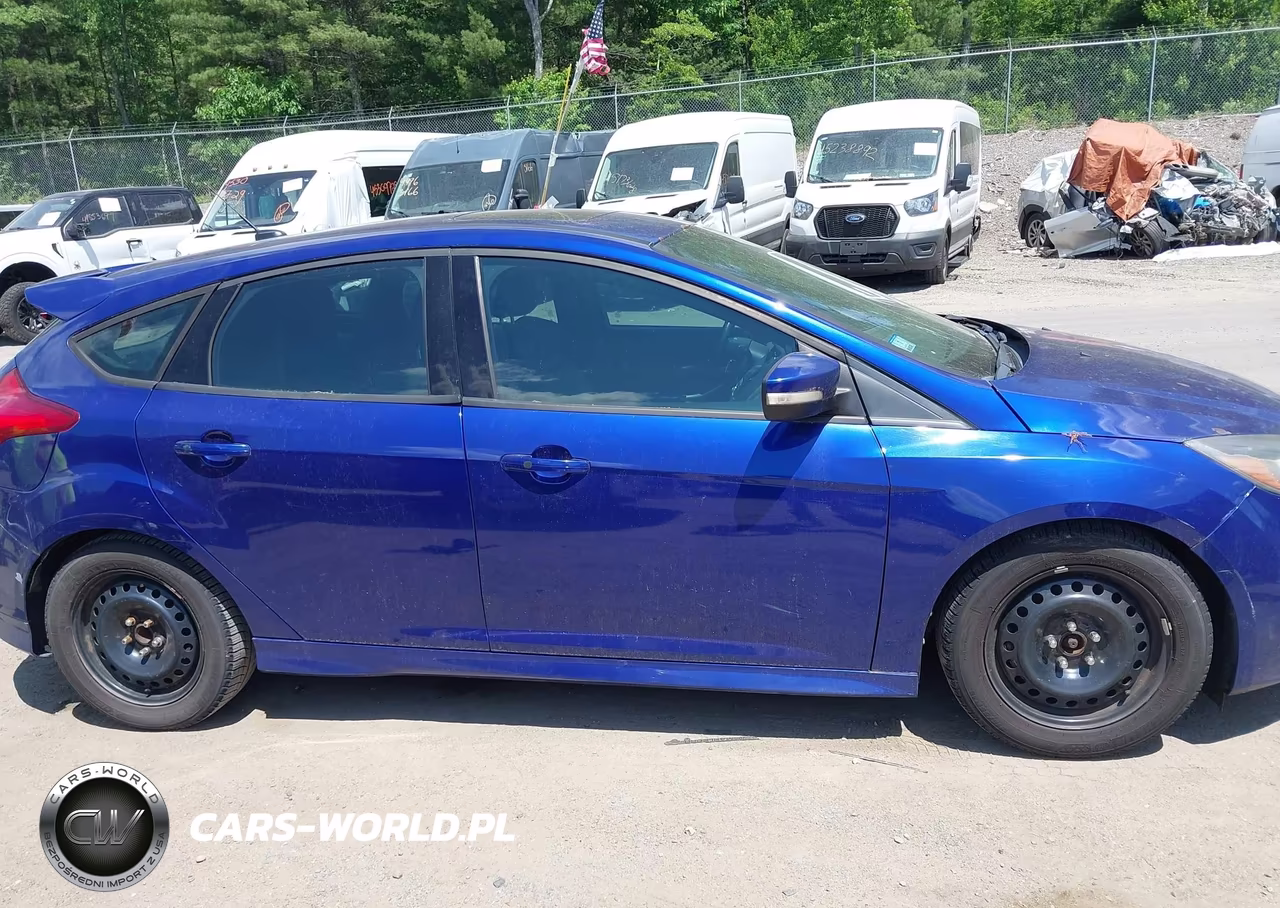 2013 Ford Focus St VIN:1FADP3L95DL323169 - 14