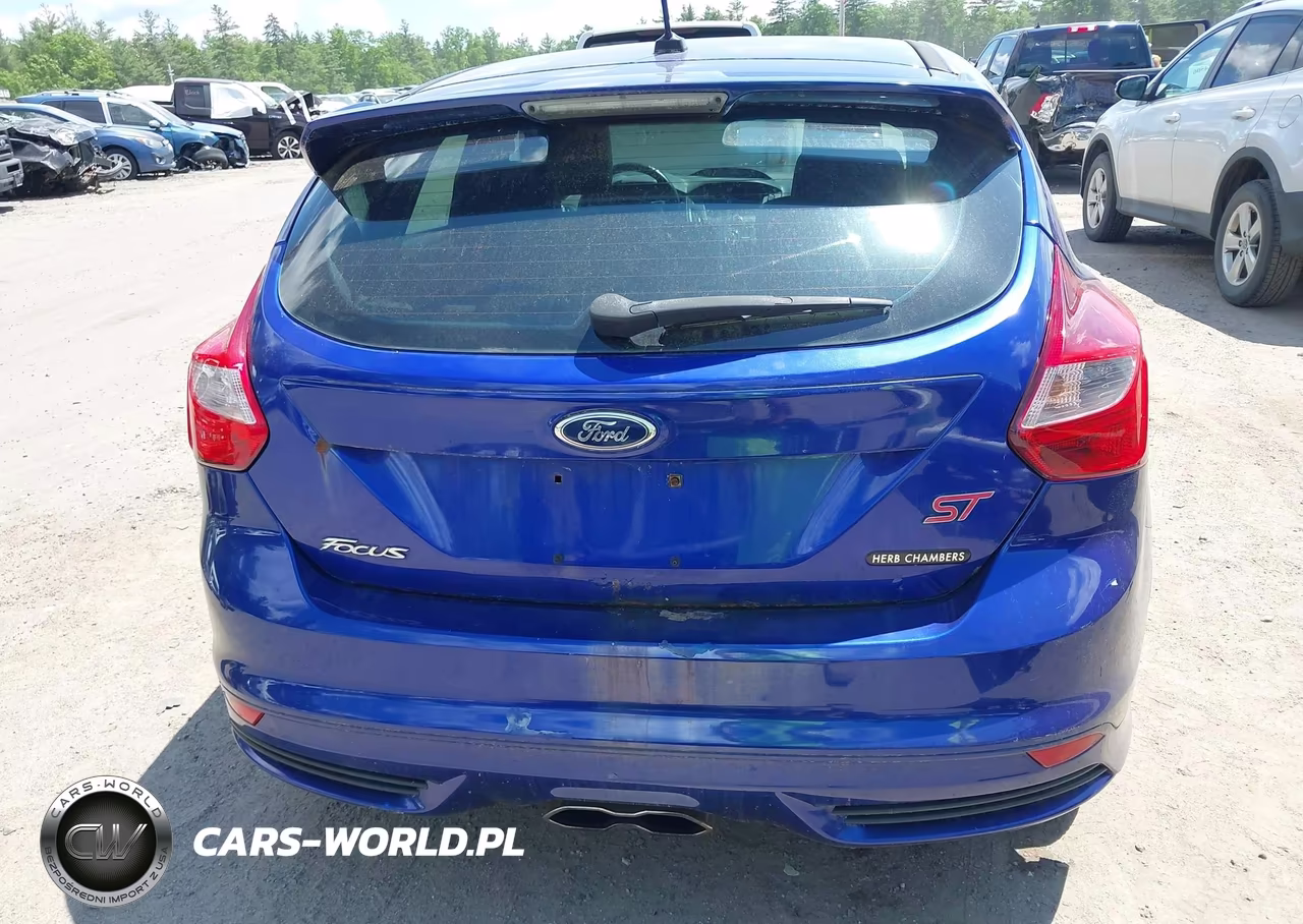 2013 Ford Focus St VIN:1FADP3L95DL323169 - 17