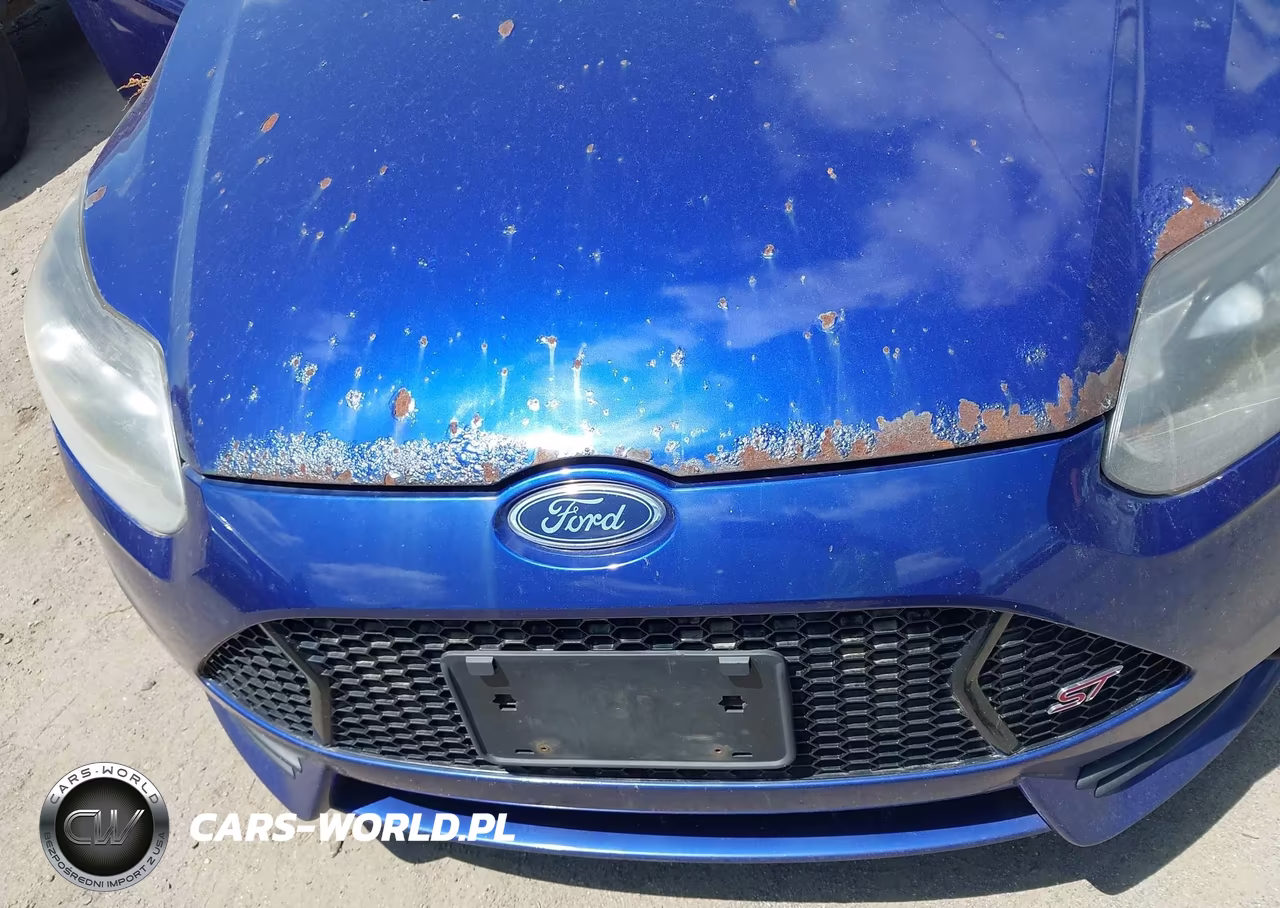2013 Ford Focus St VIN:1FADP3L95DL323169 - 6