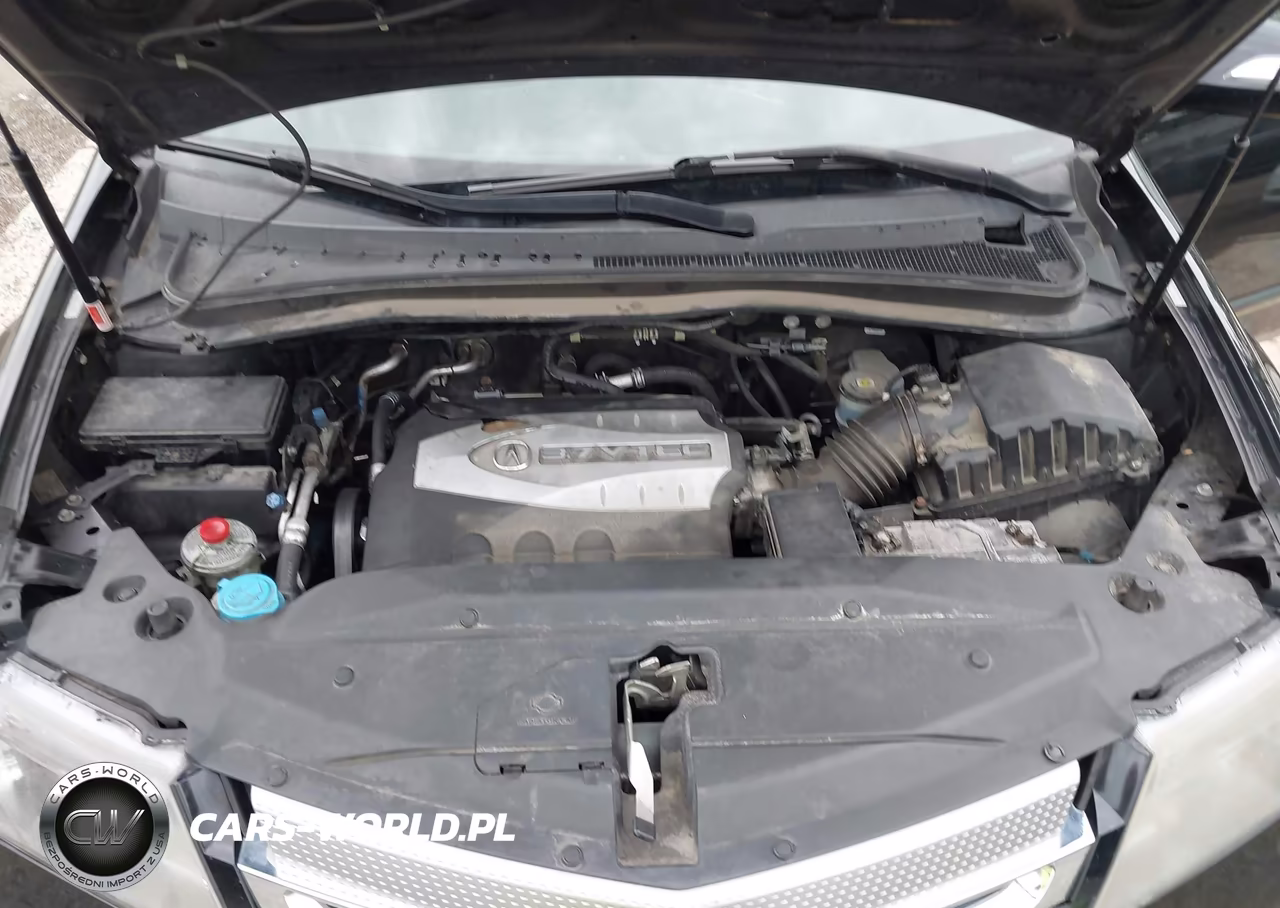 2009 Acura Mdx VIN:2HNYD282X9H527538 - 10