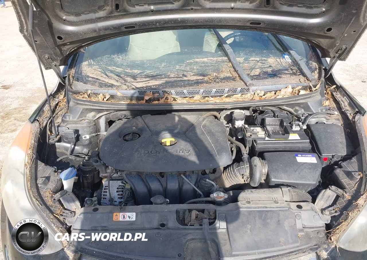 2013 Hyundai Elantra Gls VIN:KMHDH4AE8DU999957 - 10