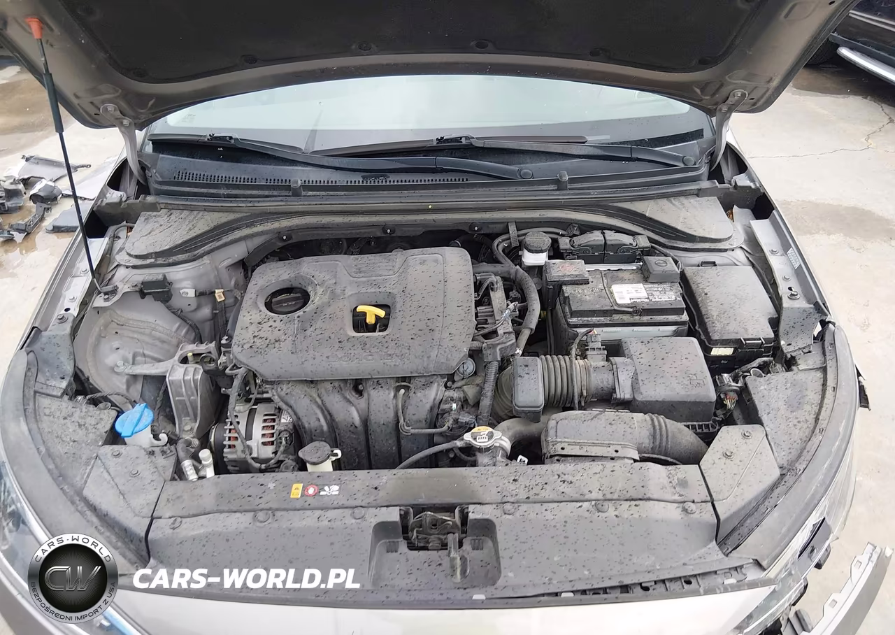 2020 Hyundai Elantra Sel VIN:KMHD84LFXLU107910 - 10