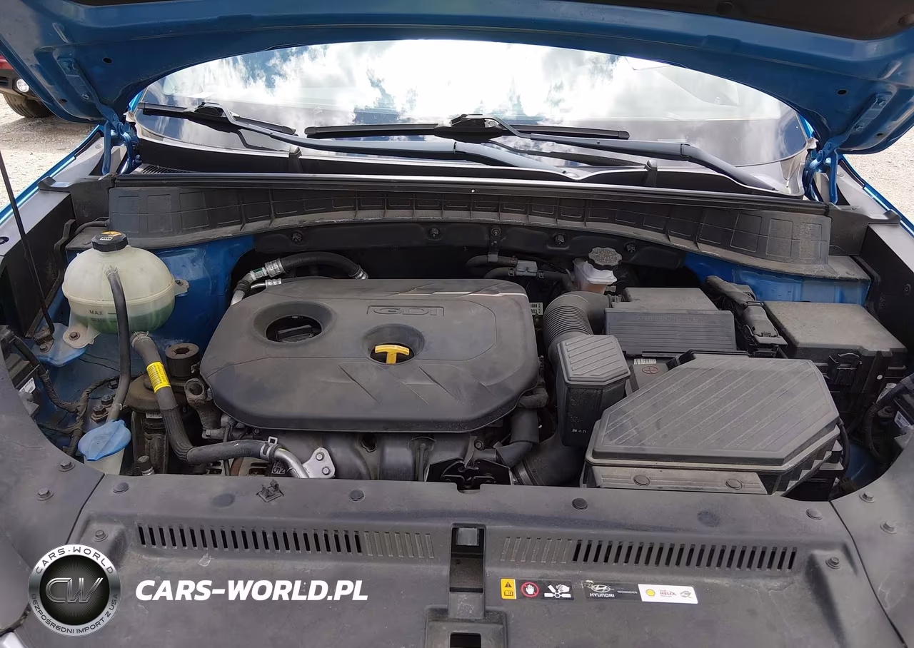 2019 Hyundai Tucson Se VIN:KM8J2CA47KU918272 - 10