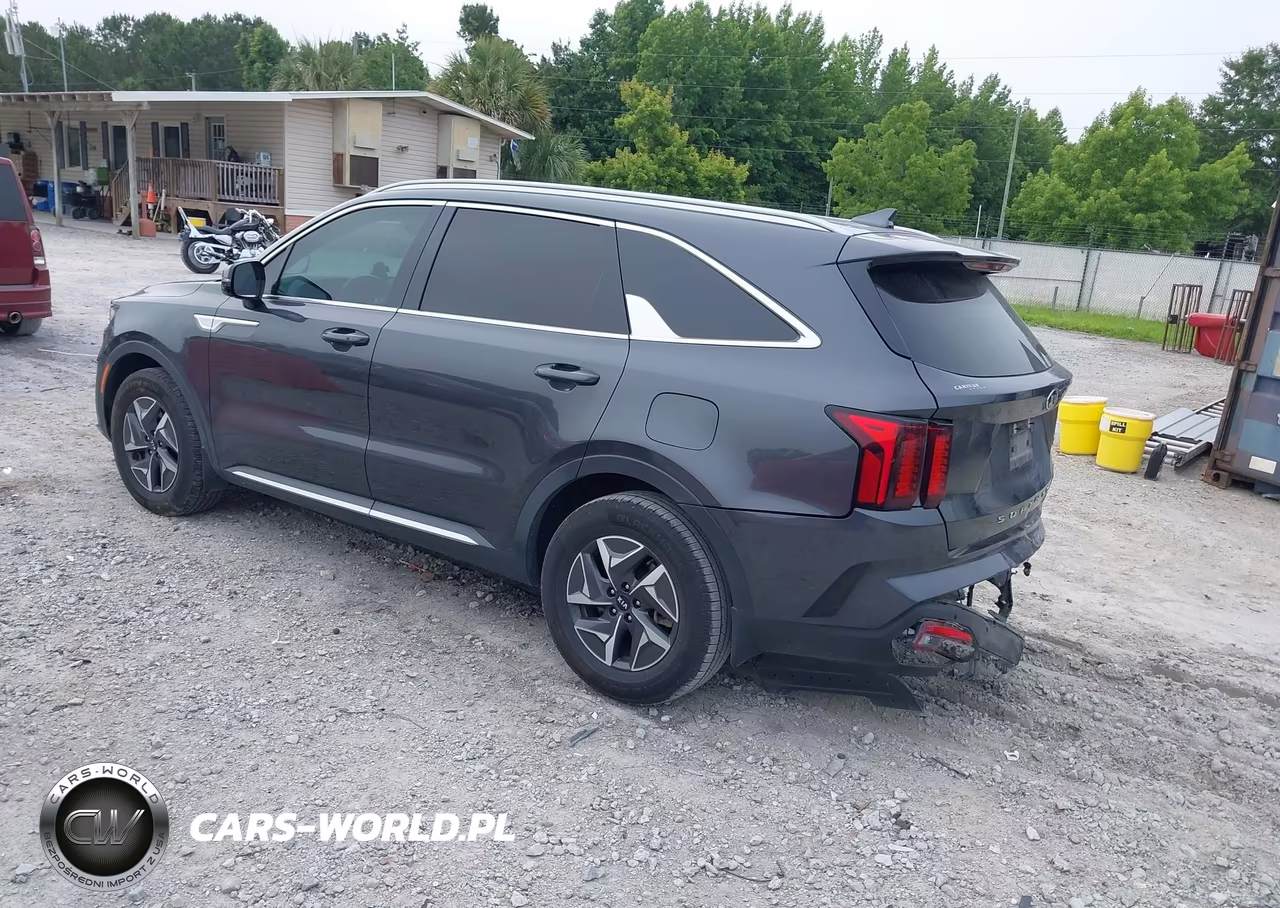 2021 Kia Sorento S VIN:KNDRG4LG4M5048970 - 3