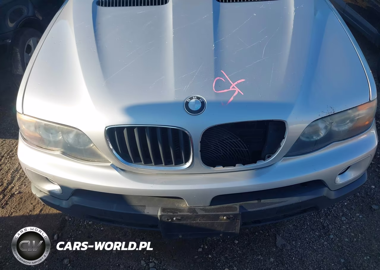 2004 BMW X5 3.0I VIN:5UXFA13514LU37190 - 10