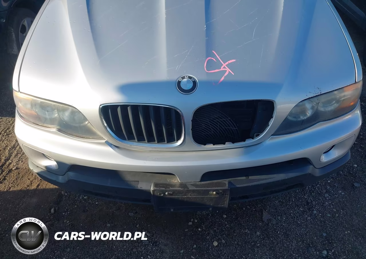 2004 BMW X5 3.0I VIN:5UXFA13514LU37190 - 6