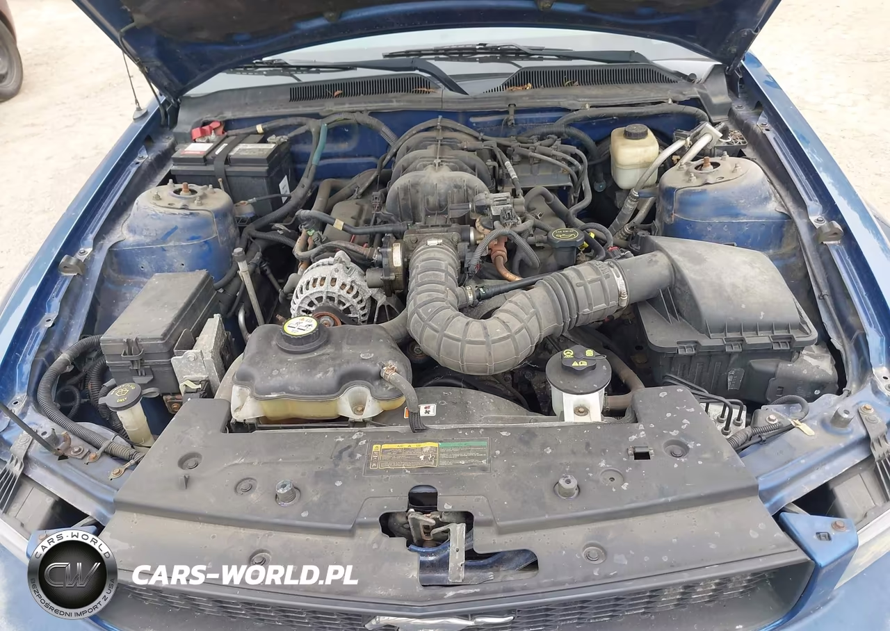 2008 Ford Mustang V6 Deluxe-V6 Premium VIN:1ZVHT84NX85134444 - 10