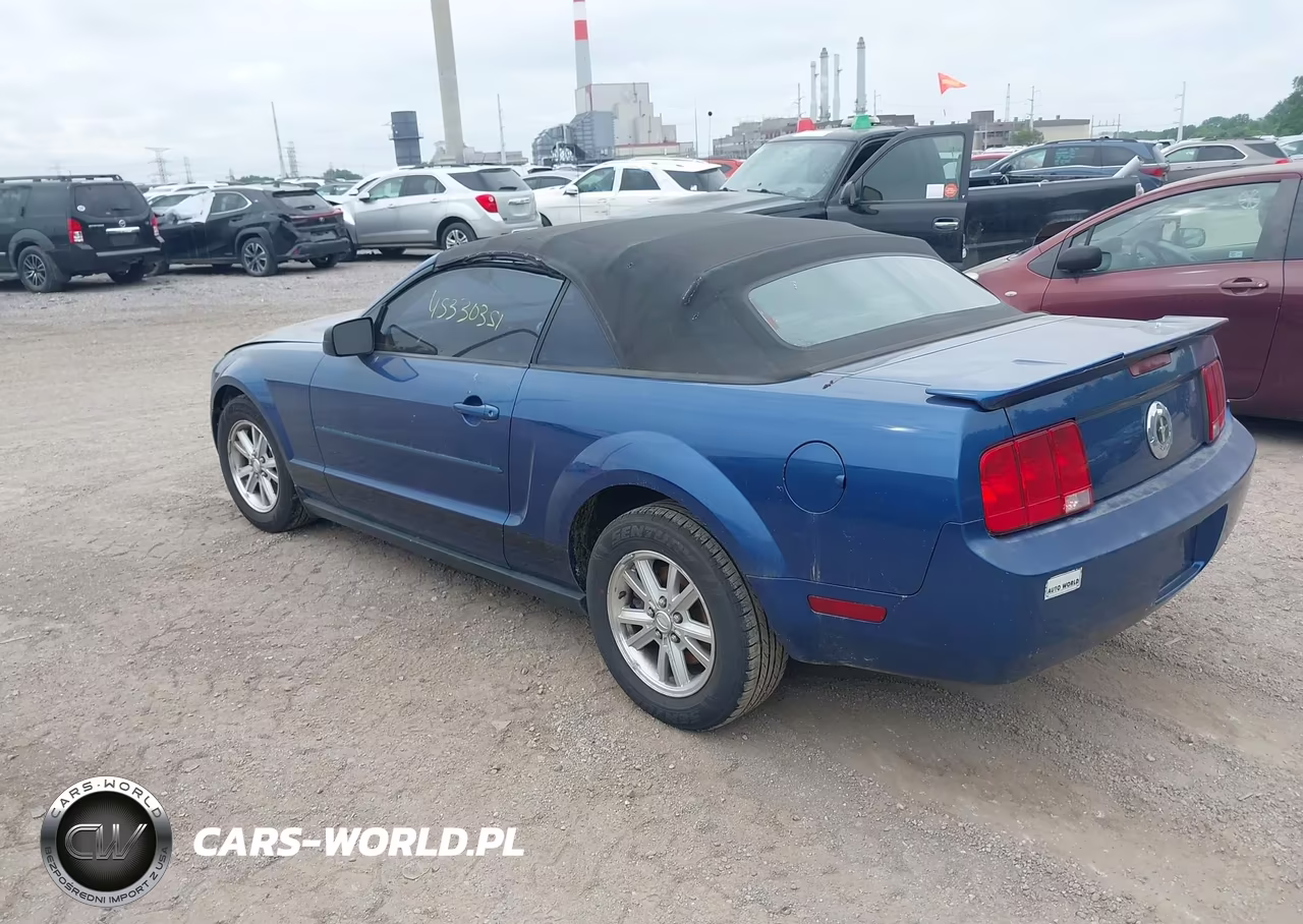2008 Ford Mustang V6 Deluxe-V6 Premium VIN:1ZVHT84NX85134444 - 3