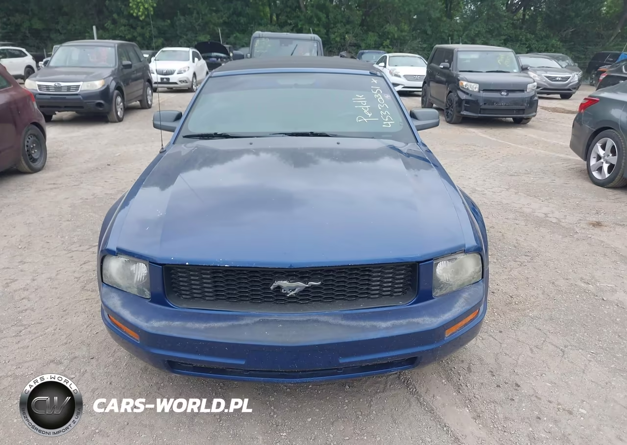 2008 Ford Mustang V6 Deluxe-V6 Premium VIN:1ZVHT84NX85134444 - 6