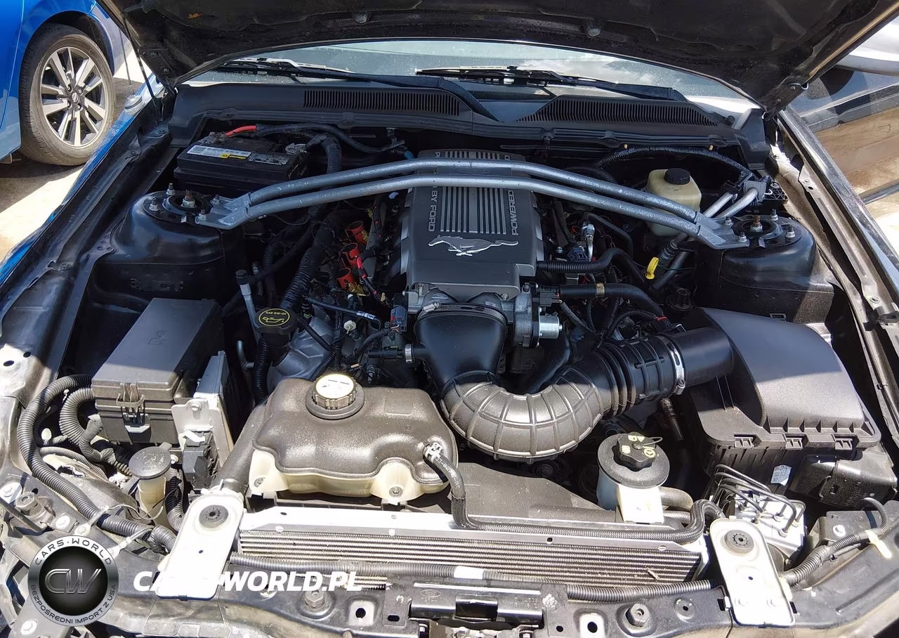 2008 Ford Mustang Gt Premium VIN:1ZVHT82H885126131 - 10