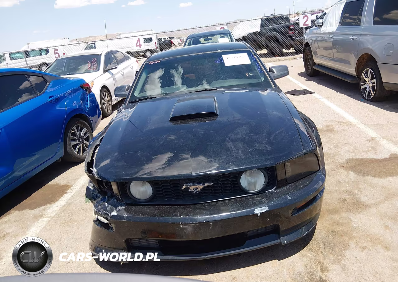 2008 Ford Mustang Gt Premium VIN:1ZVHT82H885126131 - 12