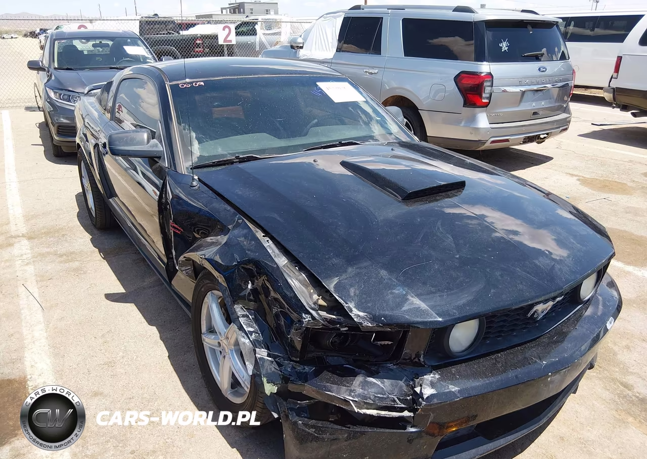 2008 Ford Mustang Gt Premium VIN:1ZVHT82H885126131 - 13