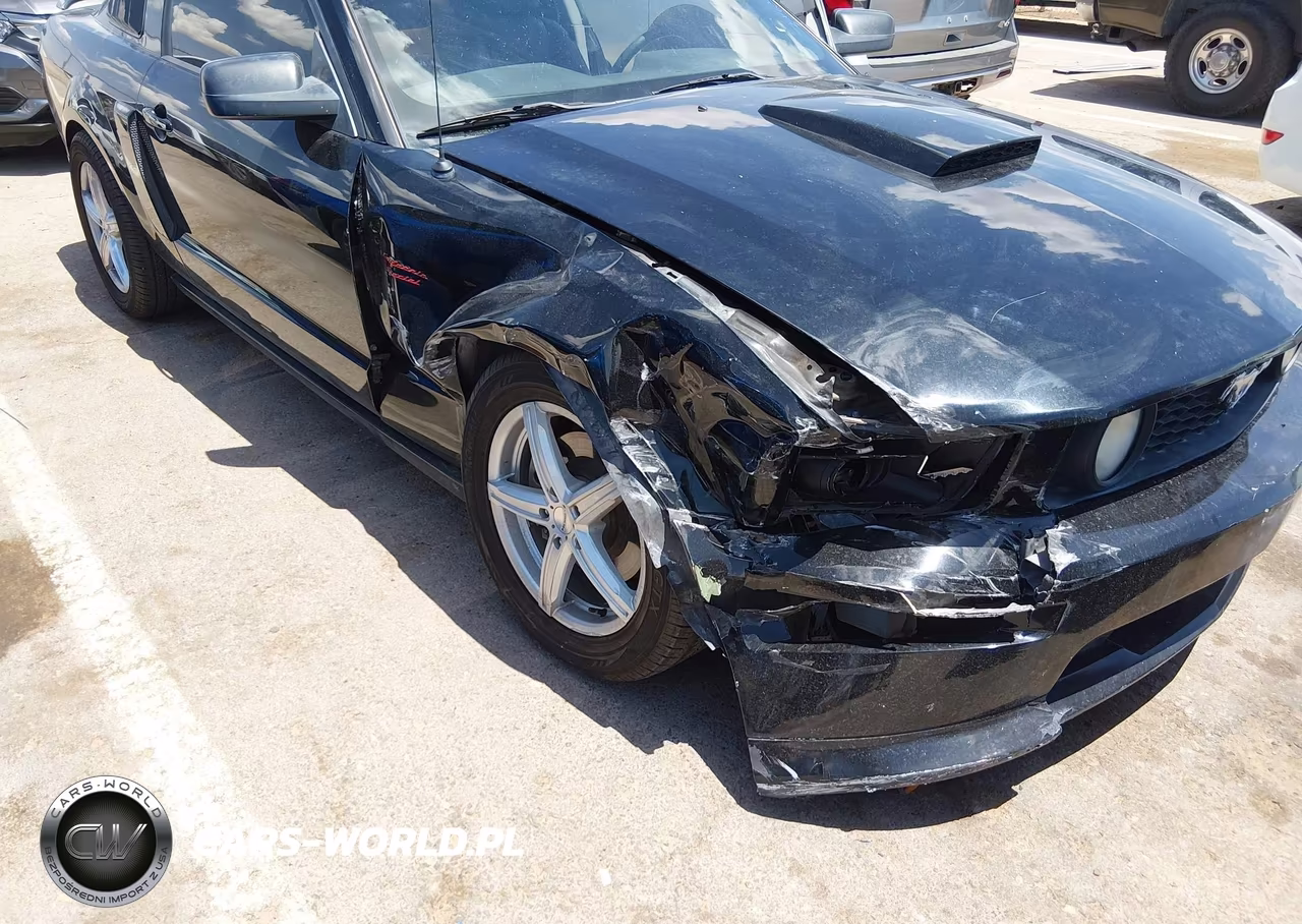 2008 Ford Mustang Gt Premium VIN:1ZVHT82H885126131 - 6