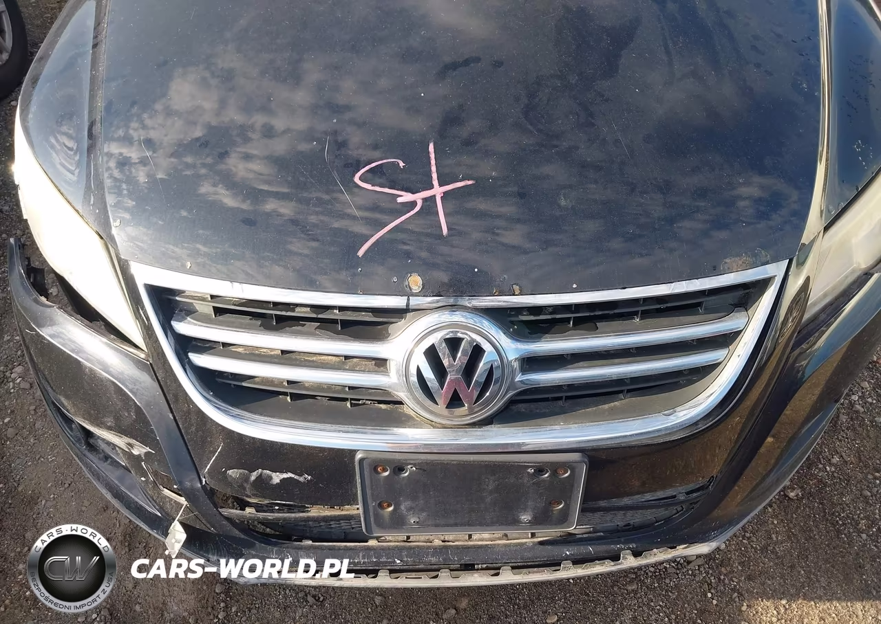 2010 Volkswagen Tiguan Wolfsburg Edition VIN:WVGBV7AX2AW528051 - 10