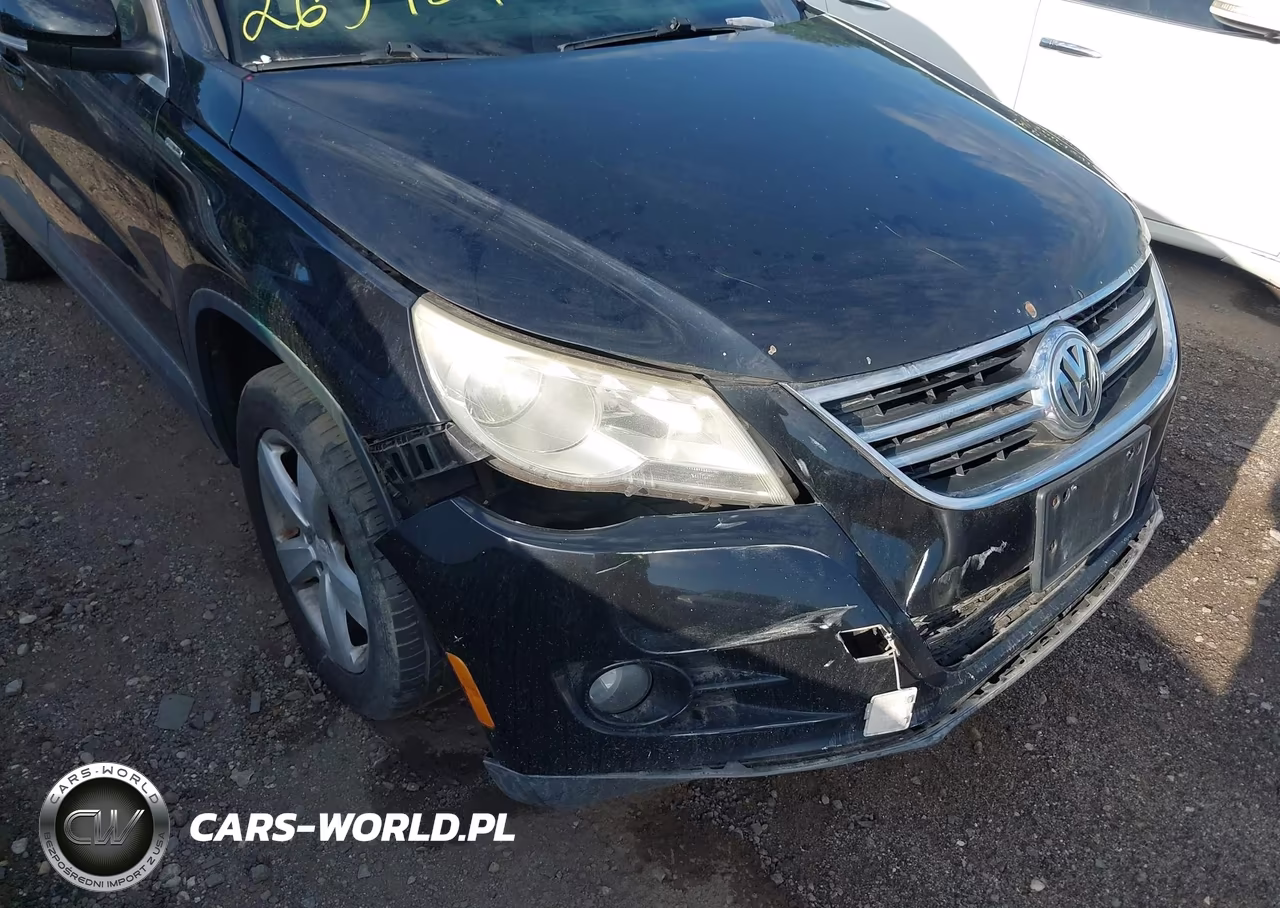 2010 Volkswagen Tiguan Wolfsburg Edition VIN:WVGBV7AX2AW528051 - 6