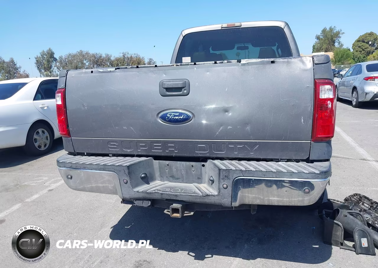 2009 Ford Super Duty F-250 Srw Fx4-Harley-Davidson-King Ranch-Lariat-Xl-Xlt VIN:1FTSW21R49EA54353 - 17