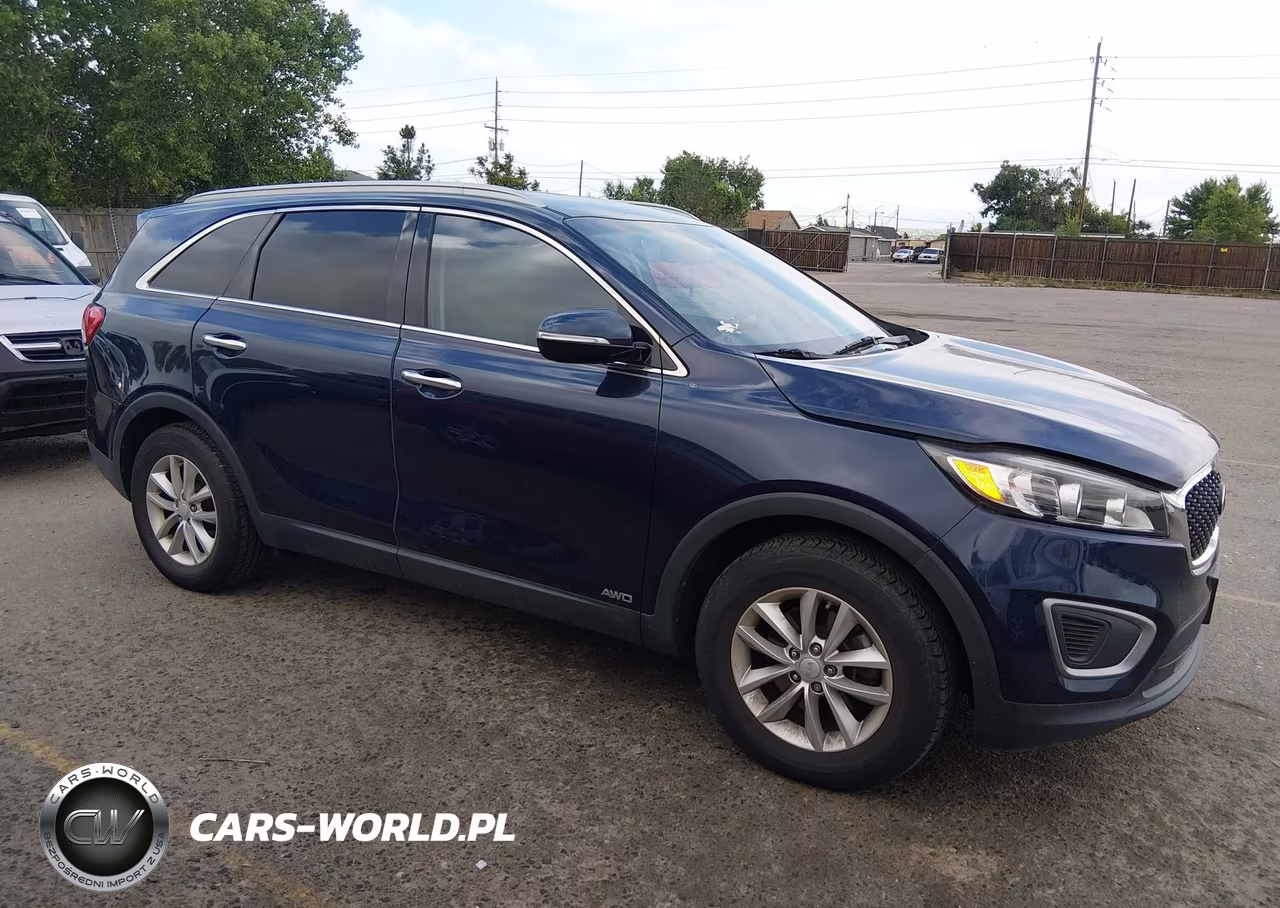 2016 Kia Sorento 2.4L Lx VIN:5XYPGDA39GG037580 - 12