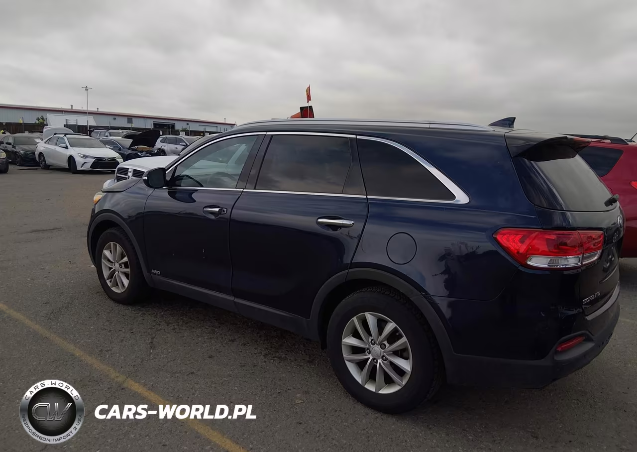 2016 Kia Sorento 2.4L Lx VIN:5XYPGDA39GG037580 - 13